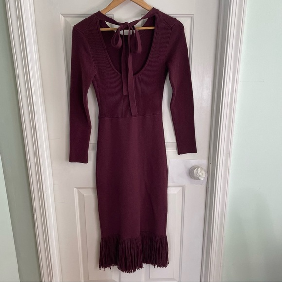 Eudon Choi Collective Elegant Burgundy Fringe Sweater Dress Size XS academia - Picture 6 of 6